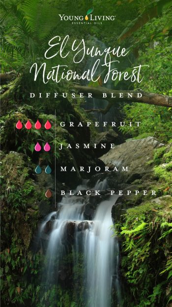 El Yunque National Forest diffuser blend
