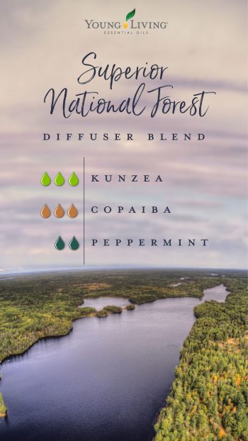 Superior National Forest diffuser blend