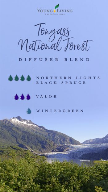 Tongass national forest diffuser blend 