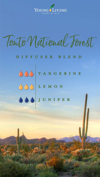 Tonto national forest diffuser blend