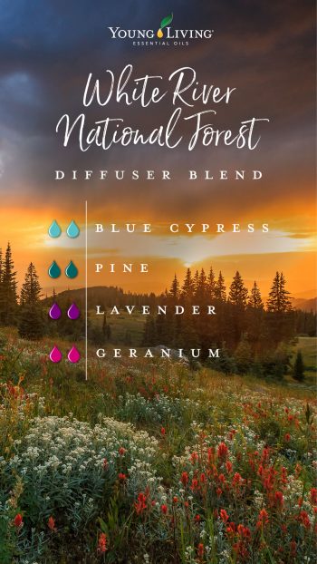 white river national forest diffuser blend
