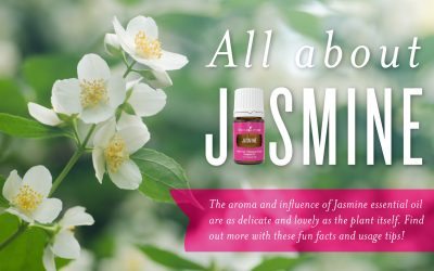 All About Jasmine