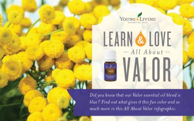 Learn & Love: All About Valor