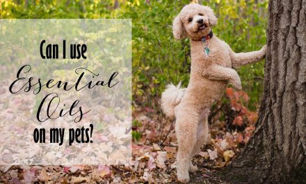 Essential Oils for Pets