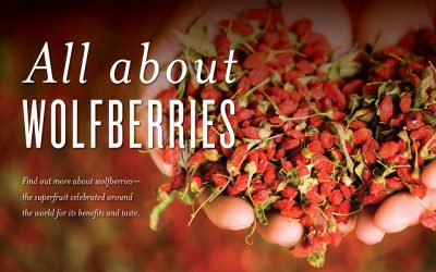 All About Wolfberries