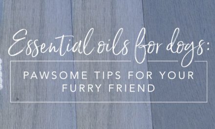 Essential oils for dogs