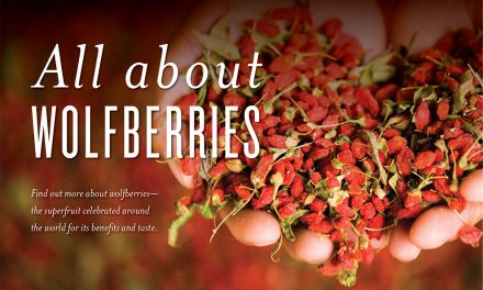 All About Wolfberries