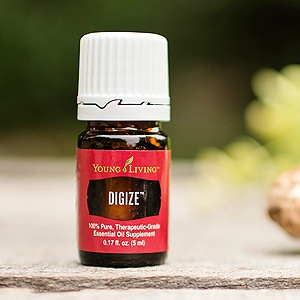 DIGIZE WHY ITS ONE OF THE MOST IMPORTANT OILS I HAVE! Seriously check this out!