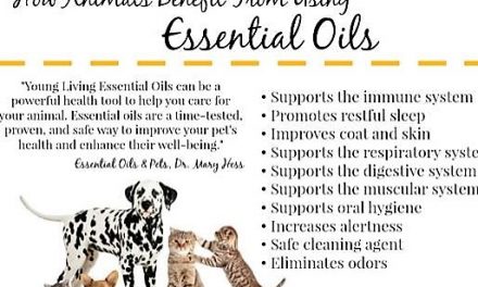 Yes! Essential Oils for Your Pets!