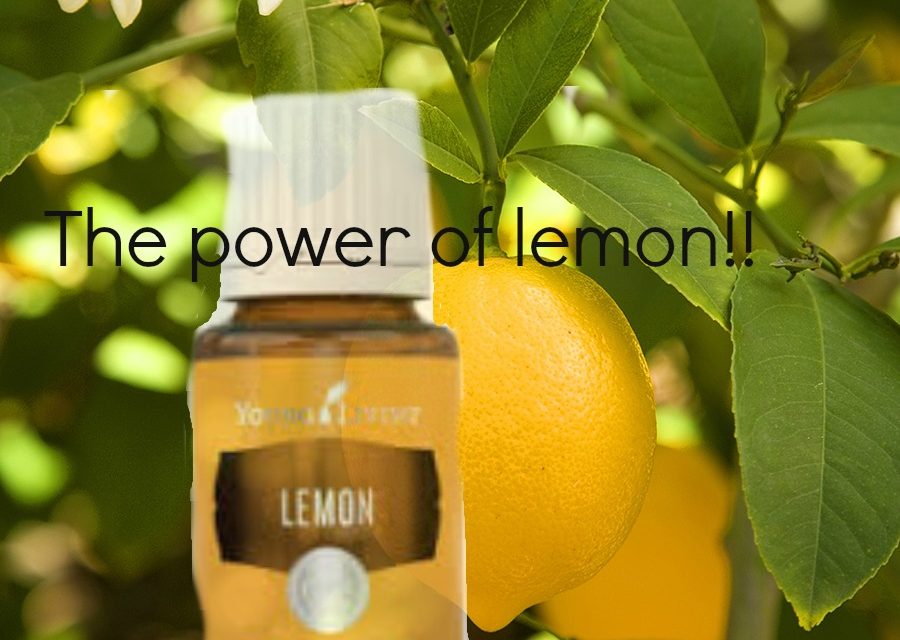Did you know Lemon Essential Oil will dissolve plastic?