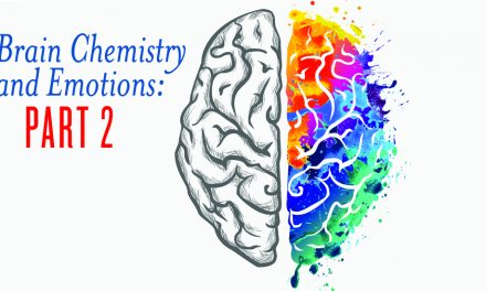 Brain Chemistry and Emotions Part 2. Can Essential Oils help ? I think so!