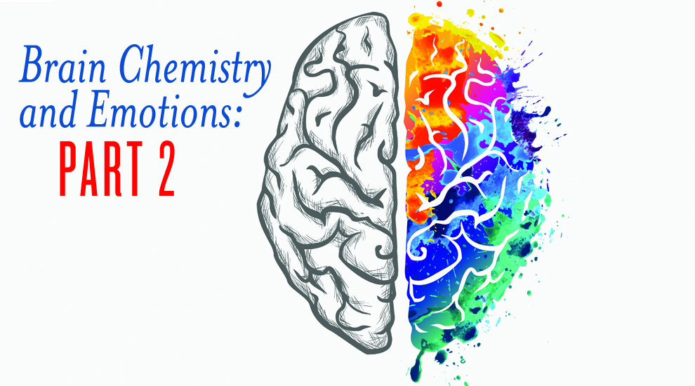 Brain Chemistry and Emotions Part 2. Can Essential Oils help ? I think so!