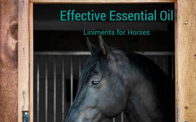 Making your own Equine Liniment! with Essential Oils….  And it’s much more effective!