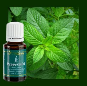 peppermint image