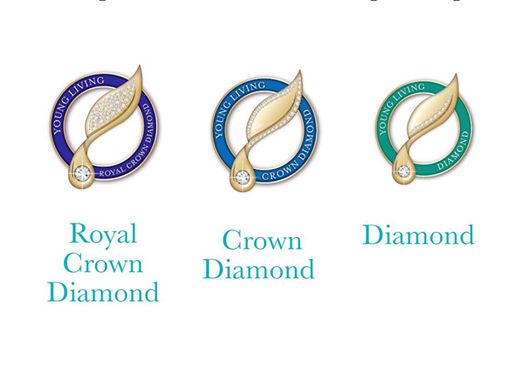 The Business Opportunity From My Own Royal Crown Diamond!!