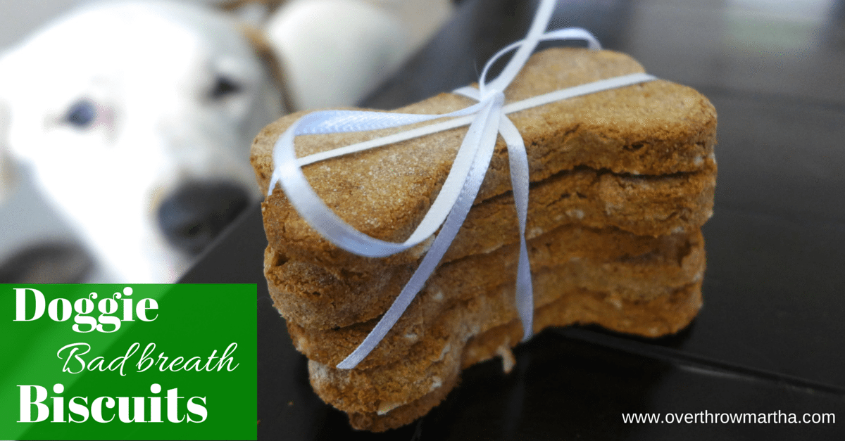 Bad Breath busting biscuits for your dog!