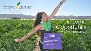 Interested in a income with Young Living?? check this video out!