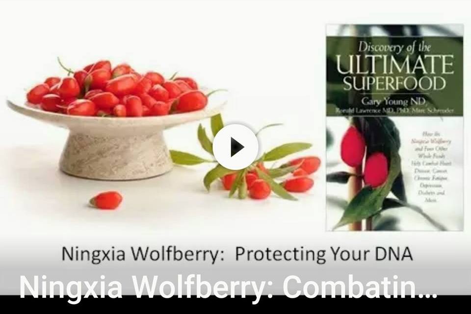 If you only watch one video on Ningxia Red..This is the one!