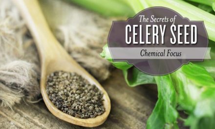 Did You Know This About Celery Seed?
