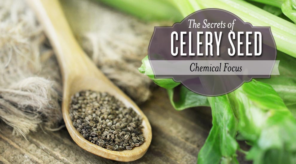 Did You Know This About Celery Seed?