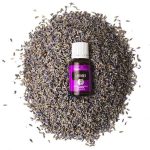 What are Essential Oils