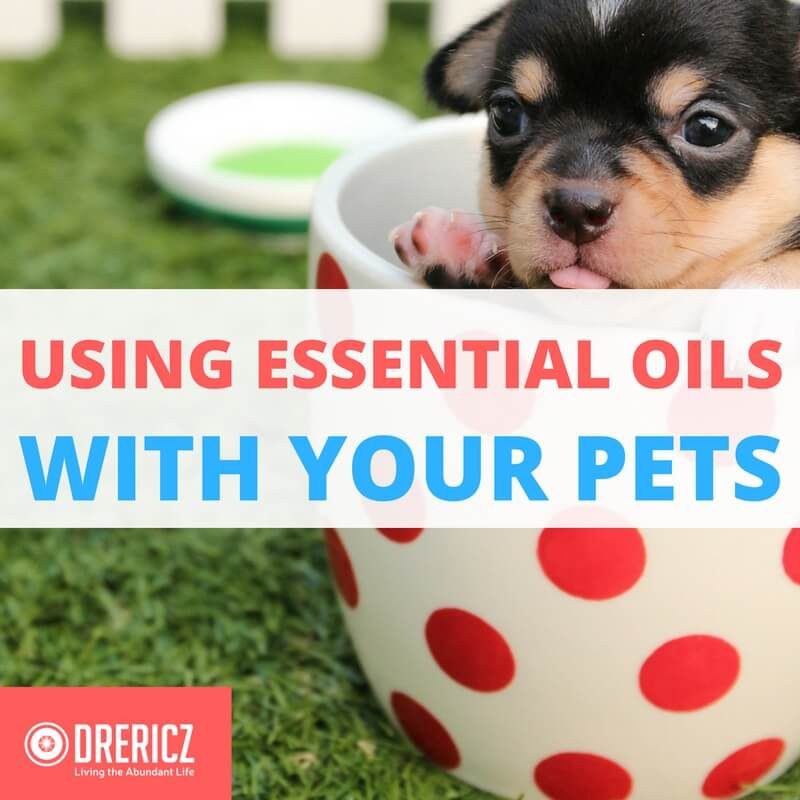 Safely Using Essential Oils With Animals!