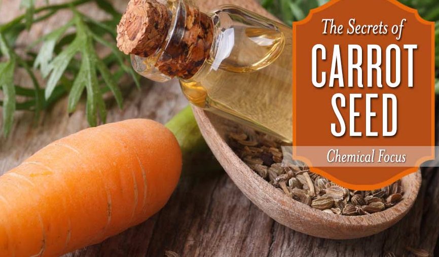 Did you know this about Carrot Seed Oil?