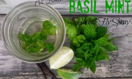 All Natural Basil Mint Herbal Fly Spray