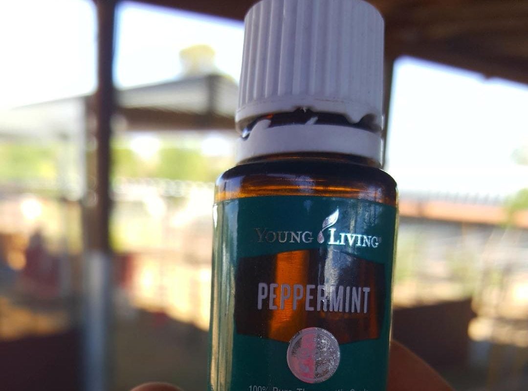 Just know Spiders Hate Peppermint Essential Oil!