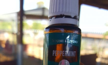 Just know Spiders Hate Peppermint Essential Oil!