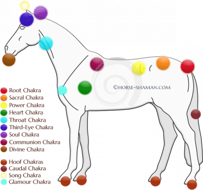You’ll want to catch this last article on Horse Chakras now!