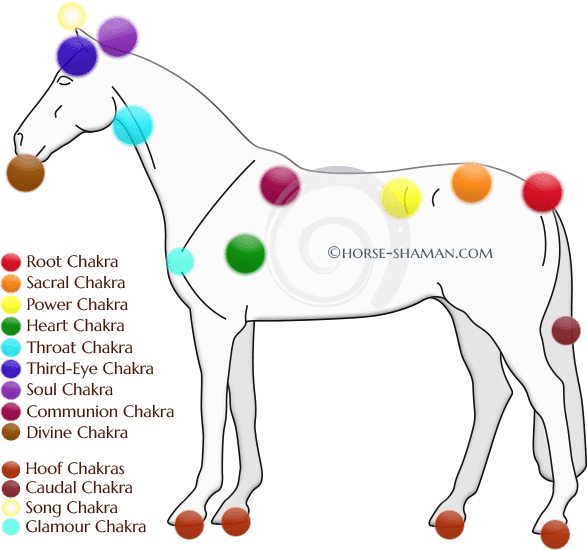 You’ll want to catch this last article on Horse Chakras now!