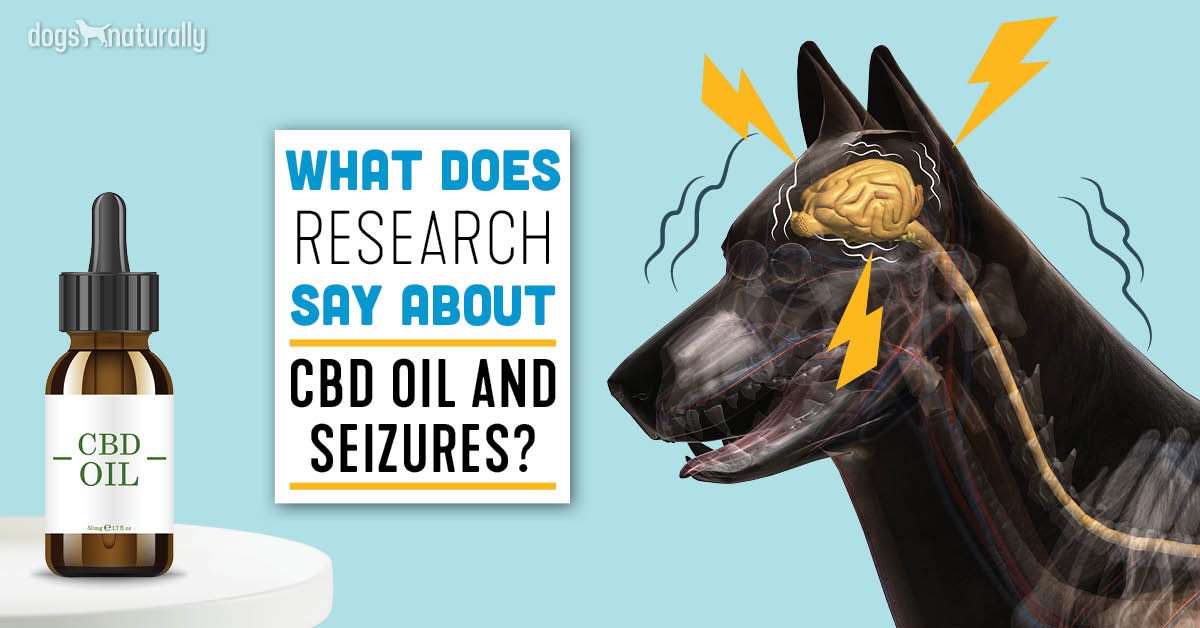 CBD Oil and your Dog!