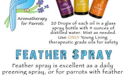 Aromatherapy Feather Spray!