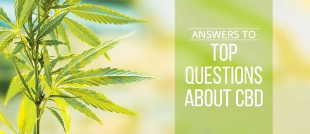 Let’s clear up alittle confusion on CBD oil!