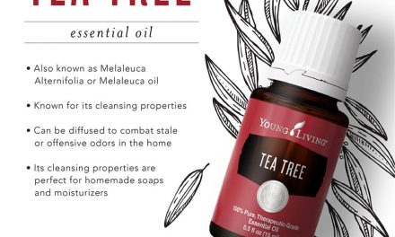 Tea Tree!  A must have for your horses first aid kit!