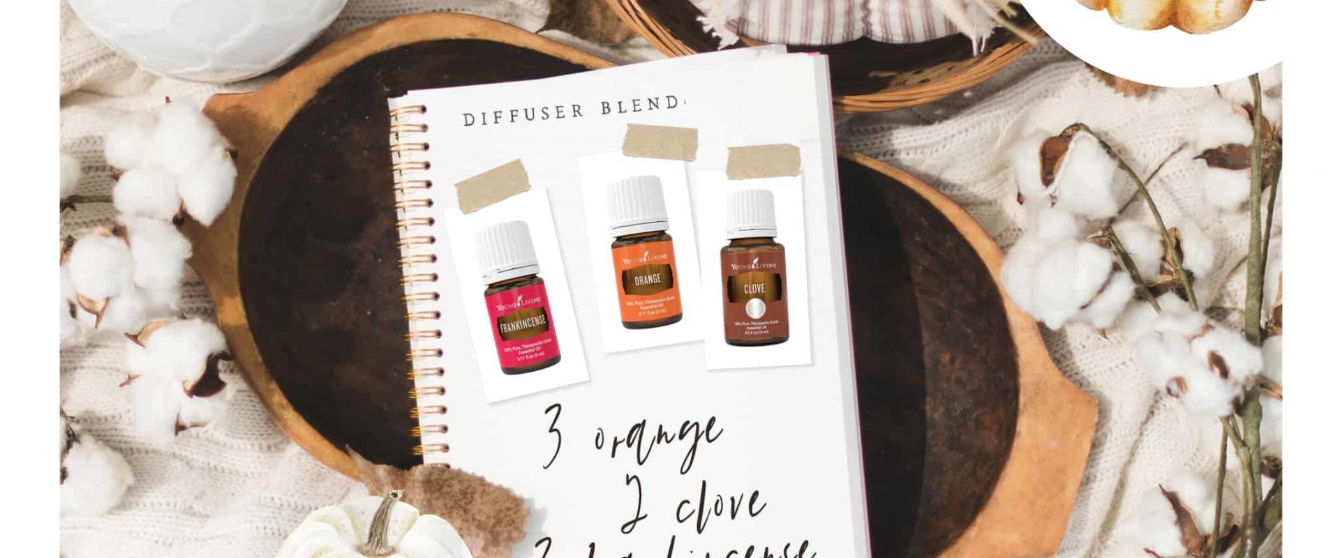 Grab your book! Find your space!  Enjoy this fall diffuser blend