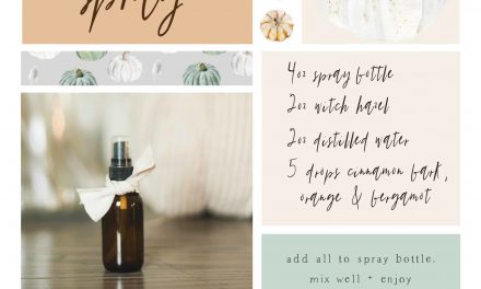 Add a touch of spice to your space with this easy DIY room spray!