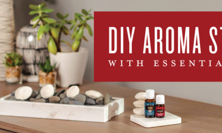 On the YL blog today…DIY aroma stones with essential oils!