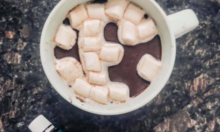 The Perfect Hot Chocolate (vegan)