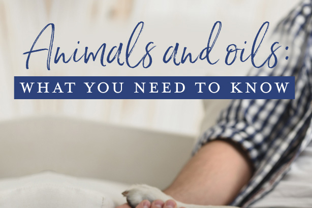 Animals and oils: What you need to know