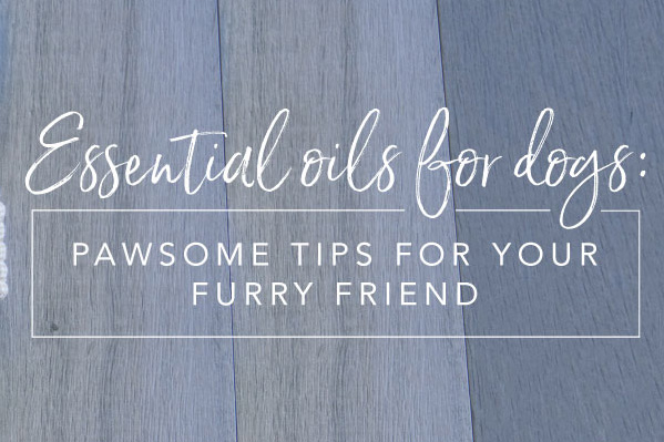 Essential oils for dogs