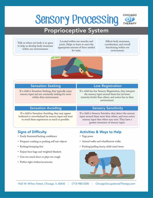 OT Education: Proprioceptive System Sensory Processing