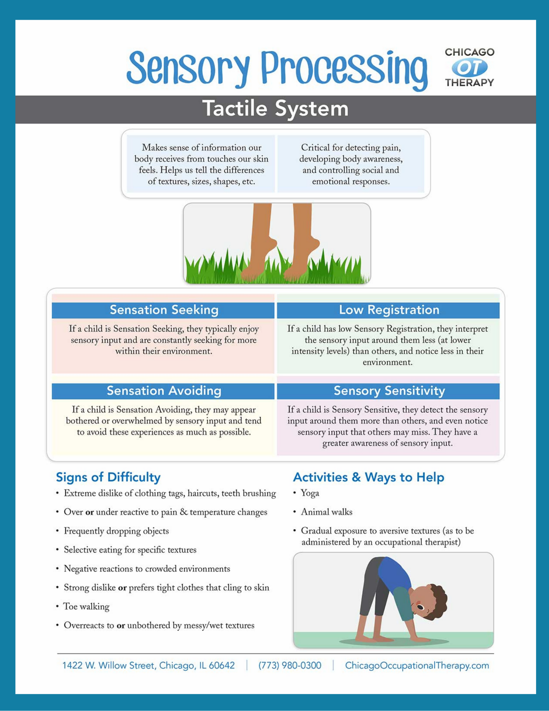 OT Education: Tactile System Sensory Processing | Vonda Flue