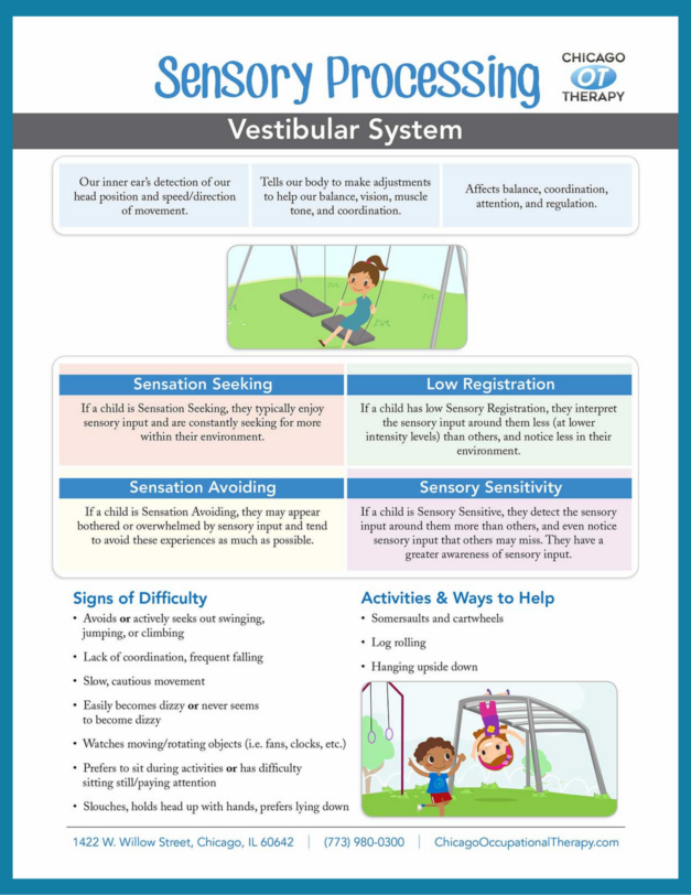 OT Education: Vestibular System Sensory Processing