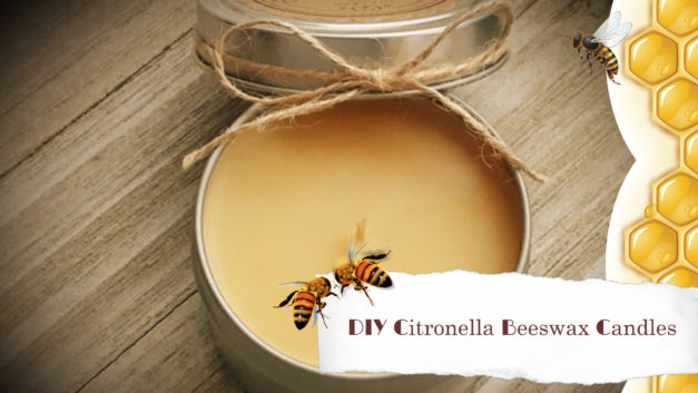 DIY Citronella Beeswax Candles
