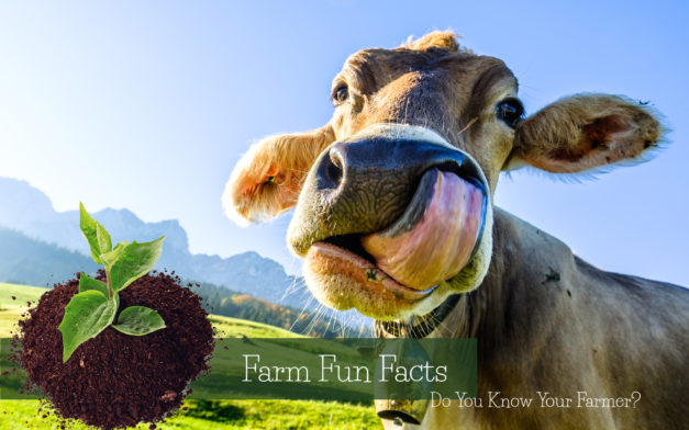 Young Living Farm Fun Facts
