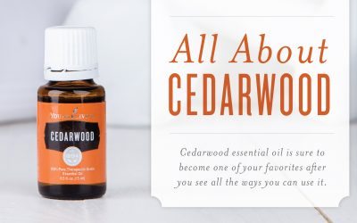 All About Cedarwood