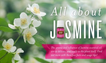 All About Jasmine