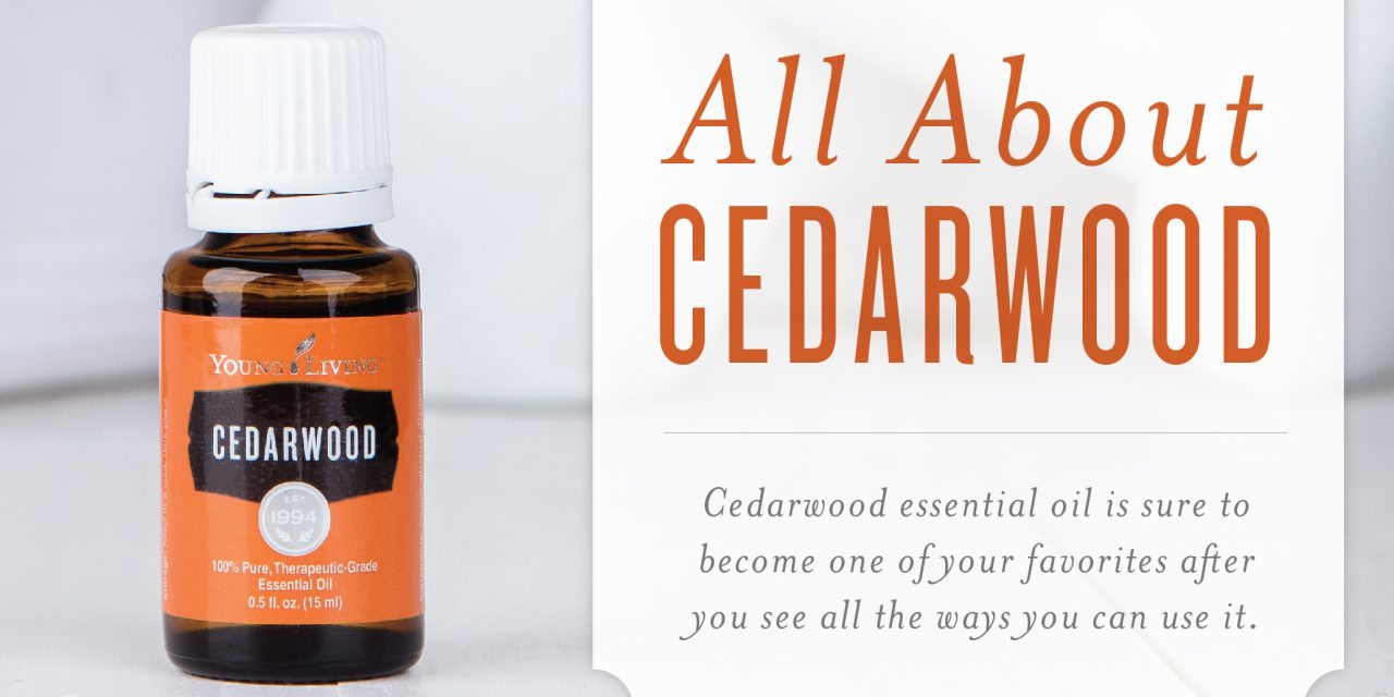 All About Cedarwood